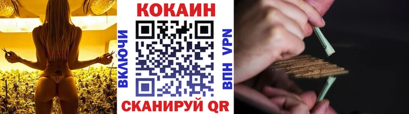 мега ссылки  Петушки  darknet телеграм  Cocaine Fish Scale 