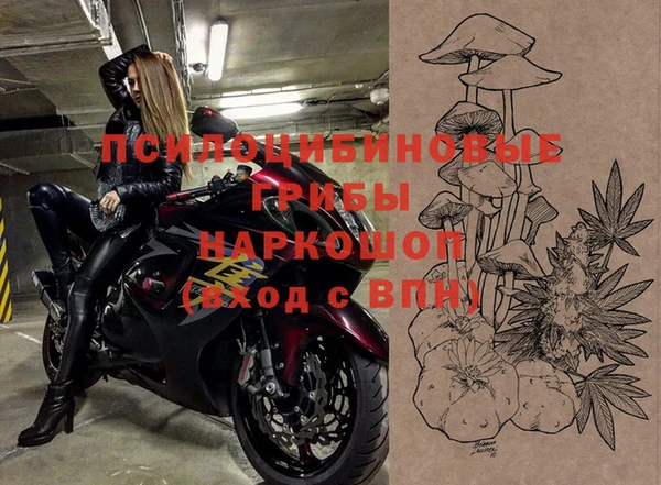 прущая мука Алзамай