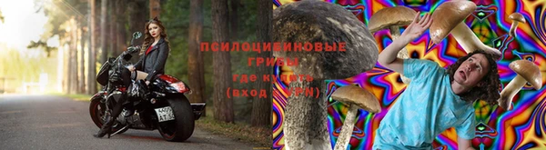 прущая мука Алзамай