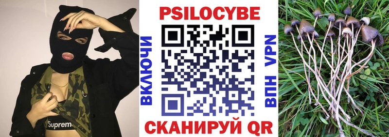 Псилоцибиновые грибы GOLDEN TEACHER  Петушки 